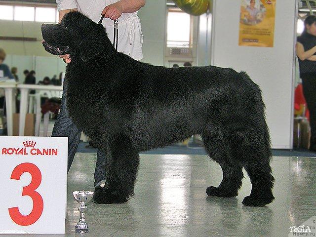 Фотография № 41092