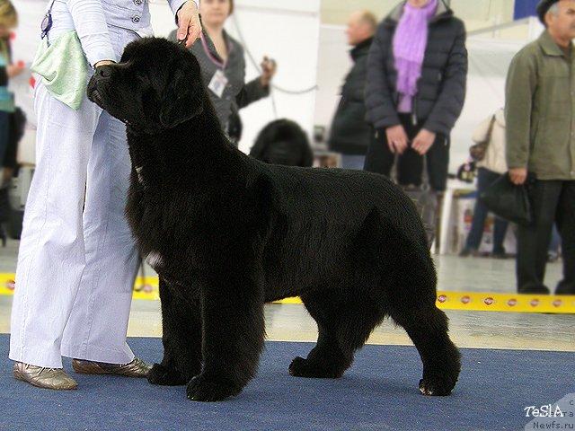 Фотография № 41096