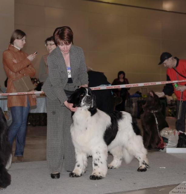 Фотография № 41110