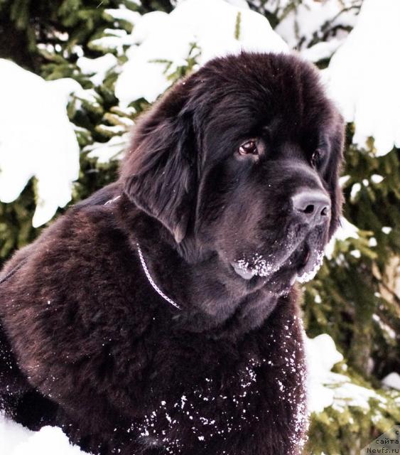 Фотография № 41114