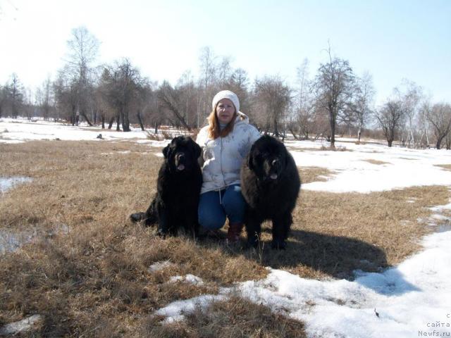 Фото: Наталья Бережнева