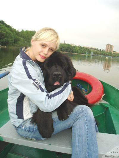 Фото: ньюфаундленд Бренда Кара Дениз, Ольга Панкова