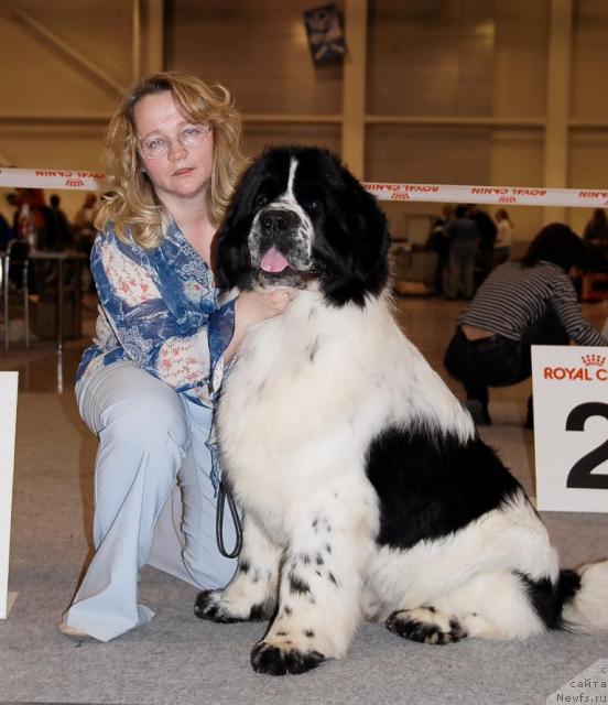 Фото: ньюфаундленд Сент Джонс Парад Планет
