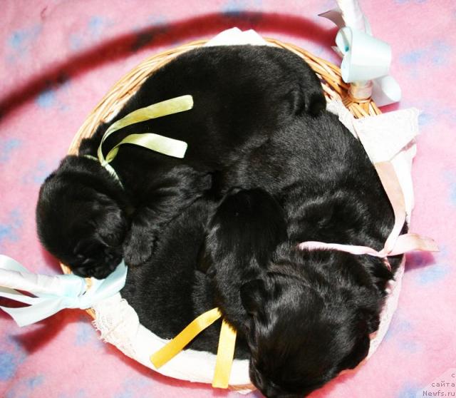 Фотография № 41259