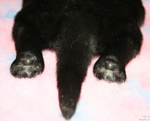 Фотография № 41267