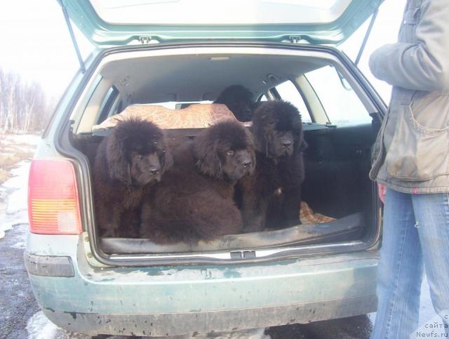 Фото: Уютная Долина Адальбьерг Констанс, Артер Норд, Арнфрид Феодор