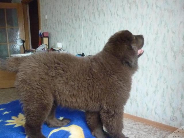 Фотография № 41324