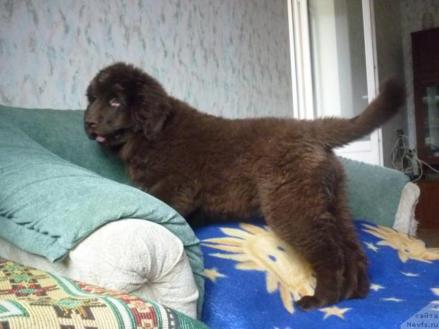 Фотография № 41326