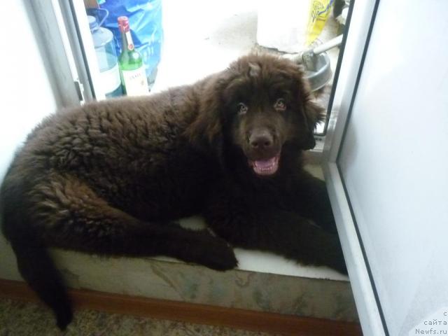 Фотография № 41329