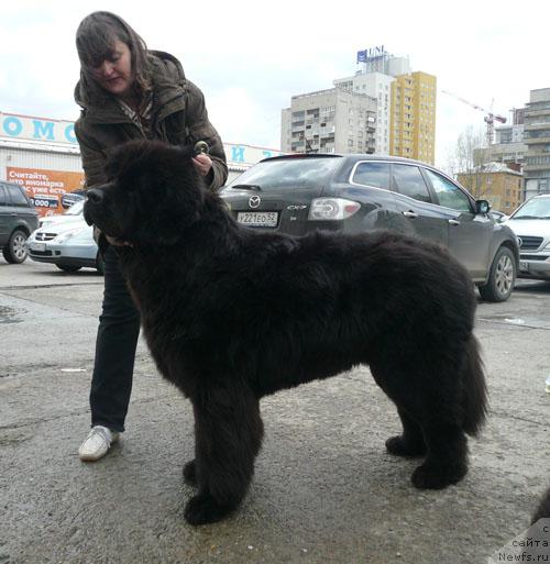 Фотография № 41377