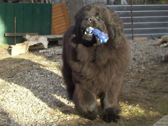 Фотография № 41464