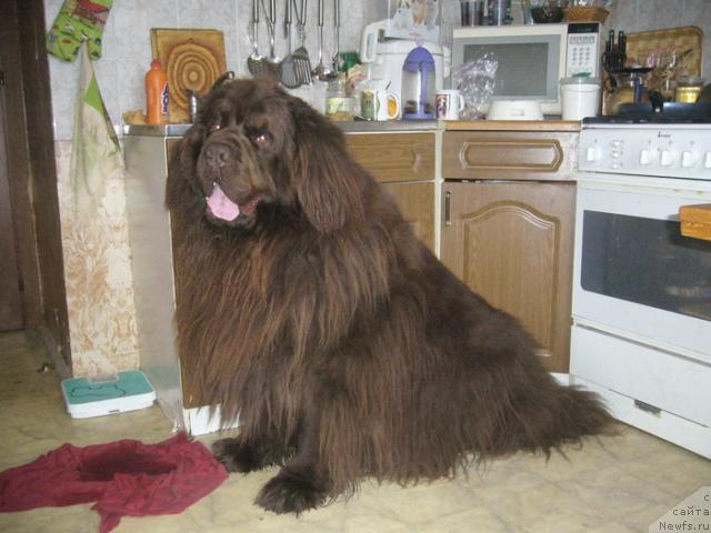 Фотография № 41503