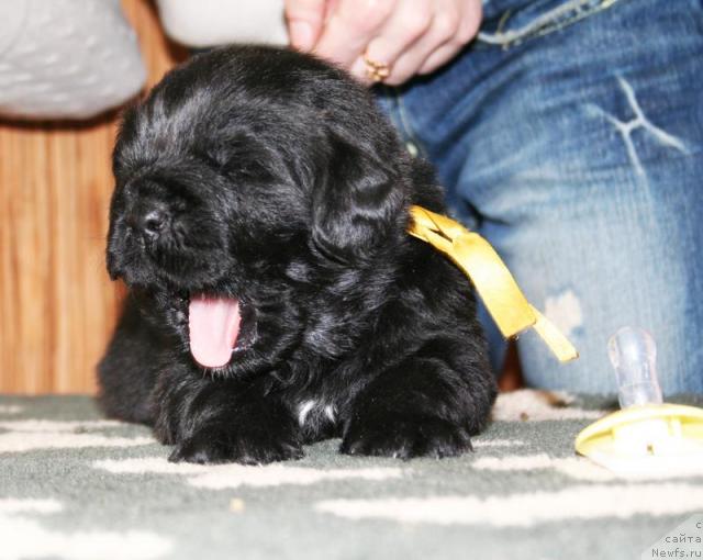 Фото: Бегущая по волнам Харизма