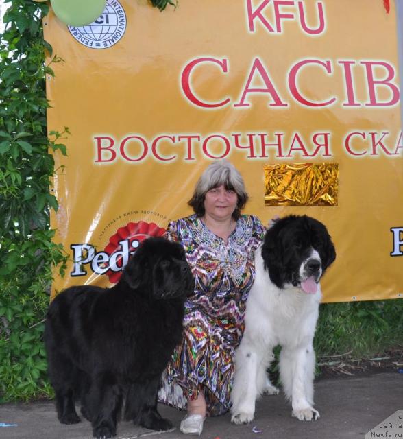 Фотография № 41521