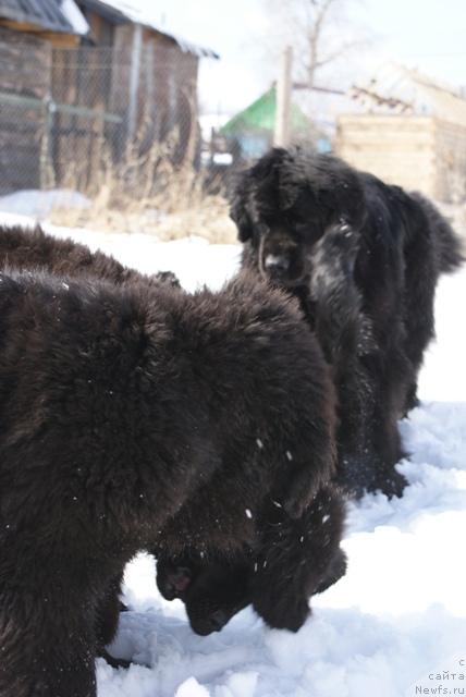 Фотография № 41533