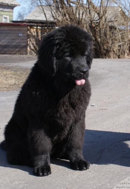 Фотография № 41535