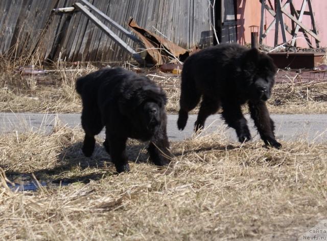 Фотография № 41536