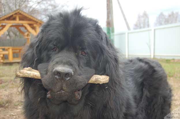 Фотография № 41556