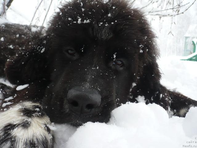 Фото: Инна Рубис