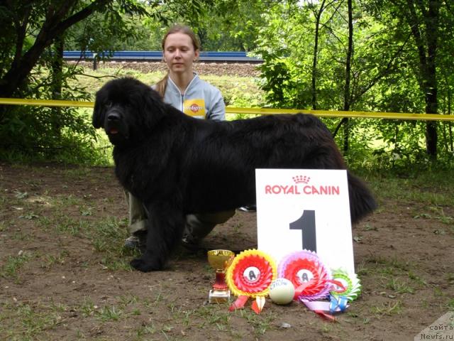 Фотография № 4156