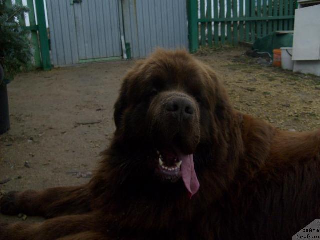 Фотография № 41606