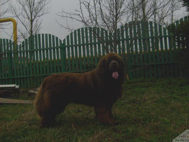 Фотография № 41607