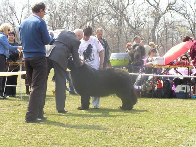 Фотография № 41610