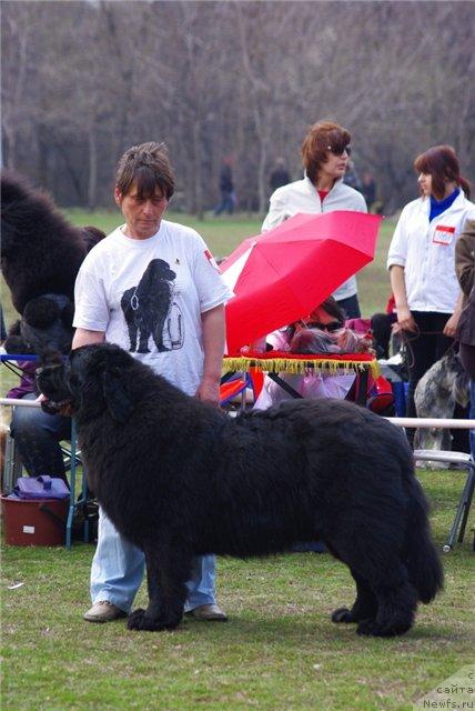 Фотография № 41611