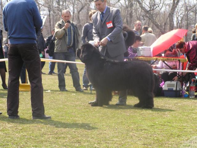 Фотография № 41612