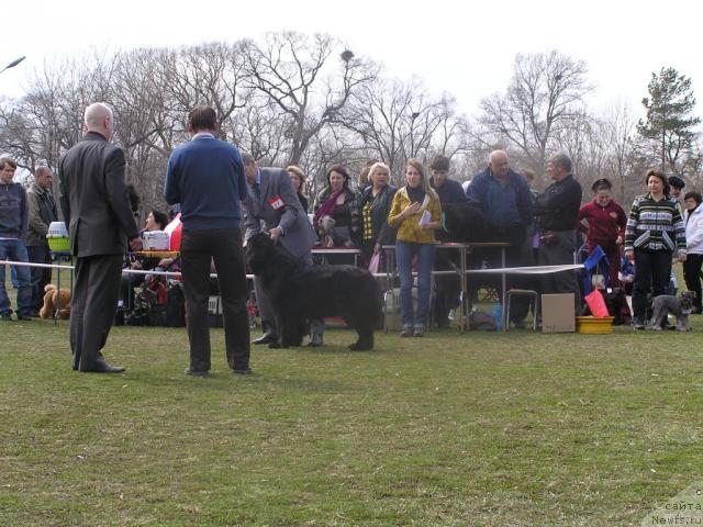 Фотография № 41614