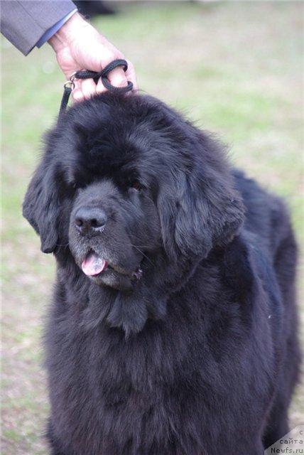 Фотография № 41615