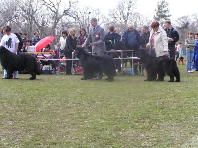 Фотография № 41616