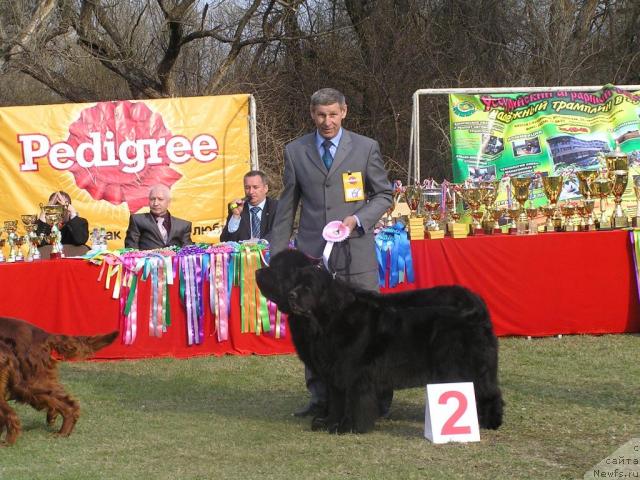 Фотография № 41622