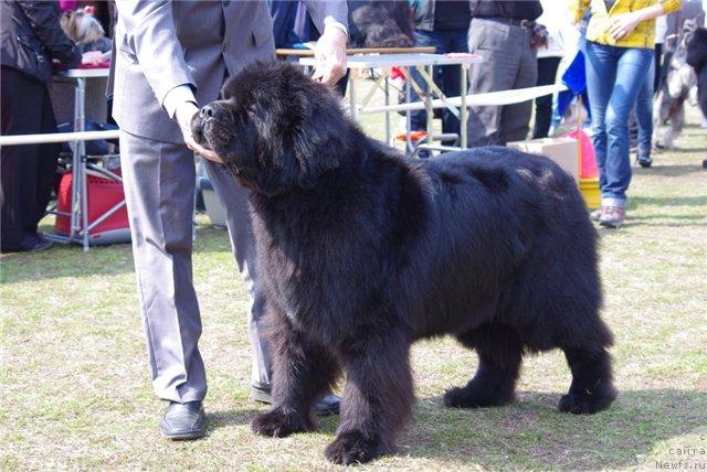 Фотография № 41624