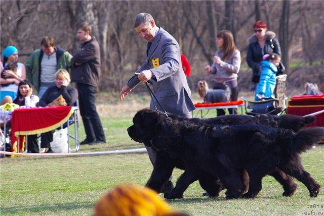 Фотография № 41627