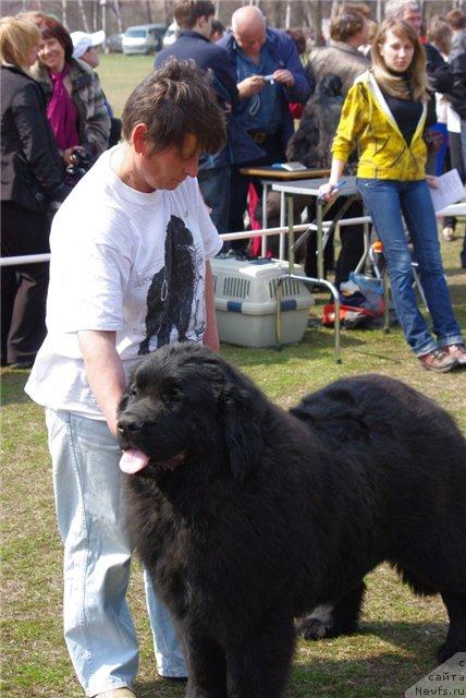 Фотография № 41629