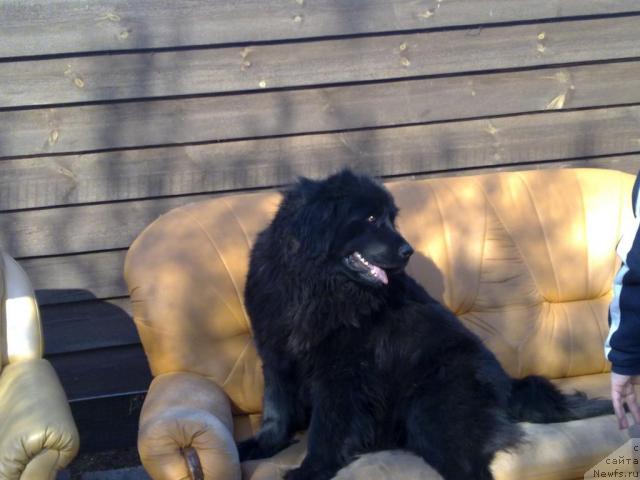 Фото: Николай Карпухин