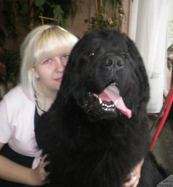 Фотография № 41688