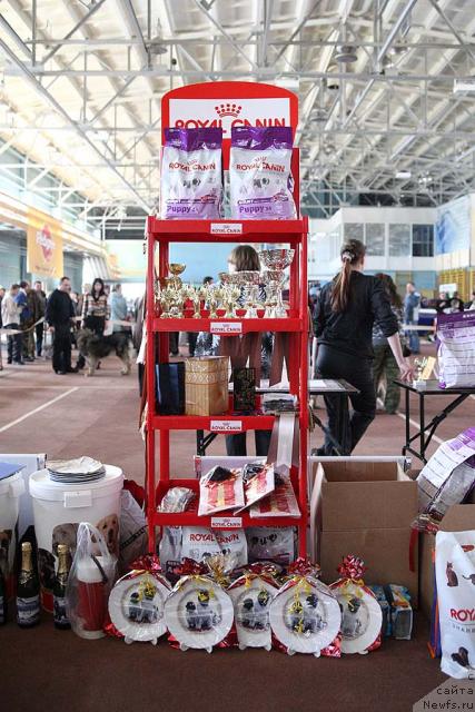 Фотография № 41705