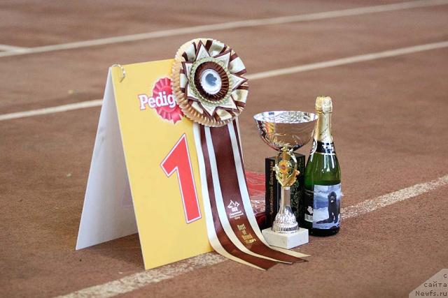 Фотография № 41709