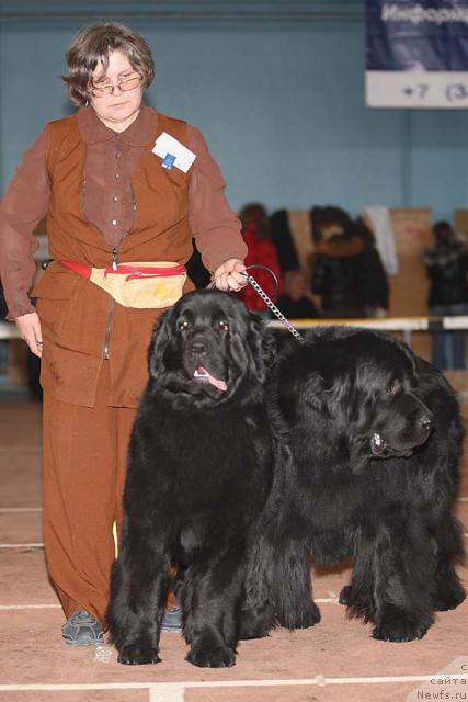 Фотография № 41714