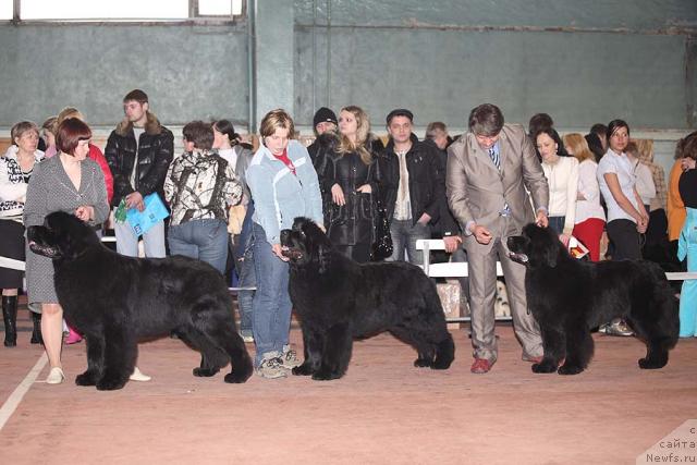 Фотография № 41716