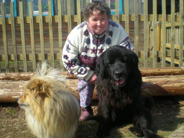 Фотография № 41724