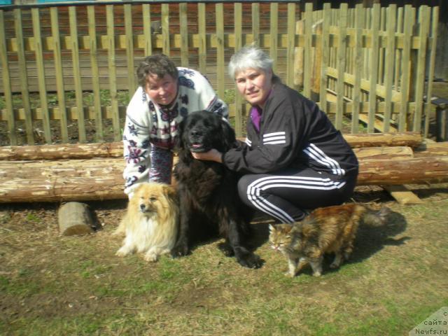 Фотография № 41725