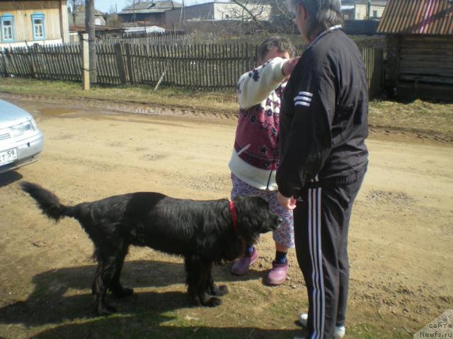 Фото: Нюша, Рита, Марина Филатова