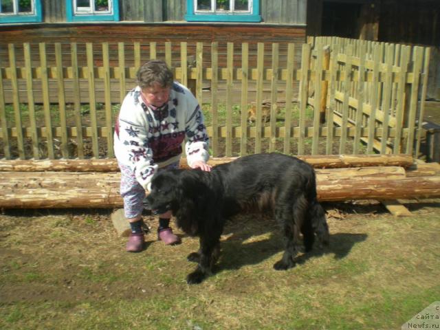 Фотография № 41728