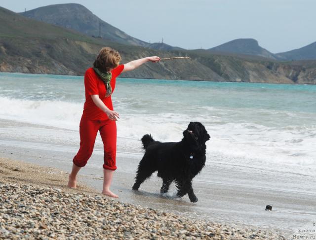 Фотография № 41735