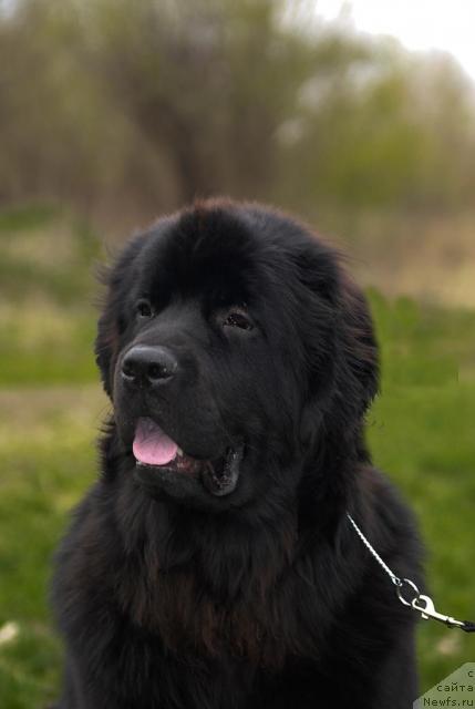 Фотография № 41738