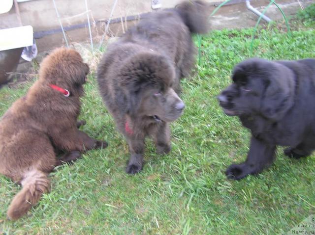 Фотография № 41754