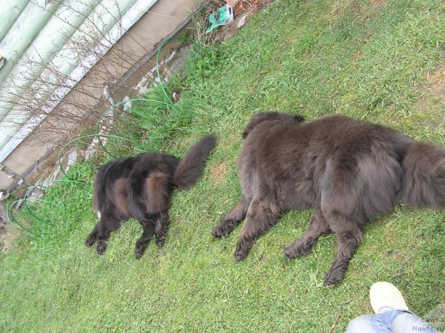 Фотография № 41755